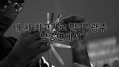 내 차, 최고가로 팔기! 🚗💨 광주 남종면에서?