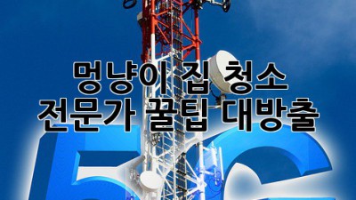 🐶🐱 멍냥이 집 청소, 전문가 꿀팁 대방출! ✨
